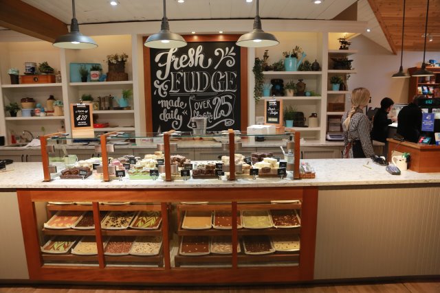 Capilano suspension bridge, 2/24
(Click on the picture for the full-size version)