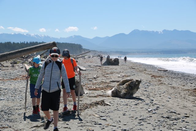Alin Constantin's Photography - At Dungeness Spit, 7/18
(Click on the picture for the full-size version)