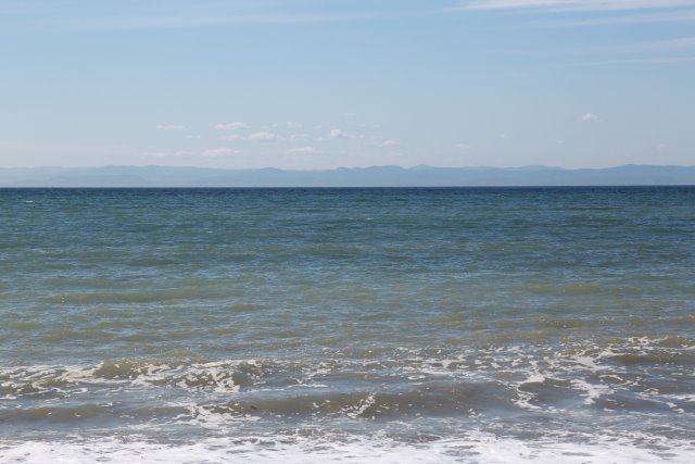 At Dungeness Spit, 7/18
(Click on the picture for the full-size version)