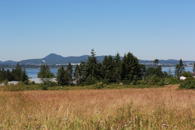 Skagit Firecracker soccer cup, 6/26
(Click on the picture for the full-size version)